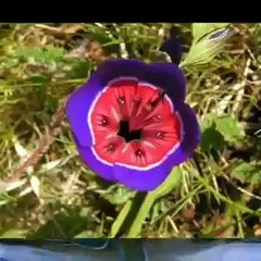 En güzel cumalar olsun tüm islam alemine