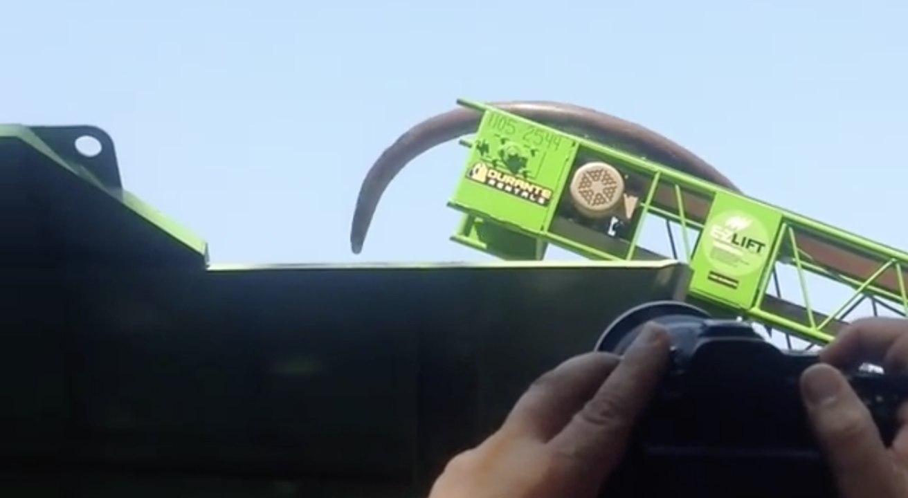 Officials, Activists Crush Ivory Art in Central Park