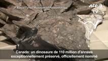 Des scientifiques révèlent l'histoire d'un dinosaure canadien