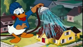 ᴴᴰ Best Donald Duck Cartoons for Kids ! Mickey Mouse, Chip and Dale, Pluto dog, Minnie Mouse 2017 [1]