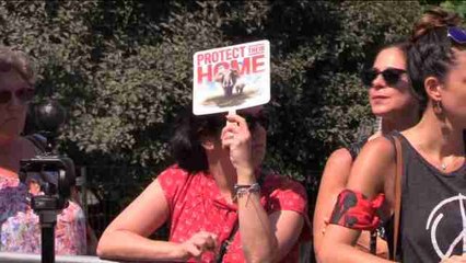 Pulveriza cerca de dos toneladas de marfil ilegal en Nueva York