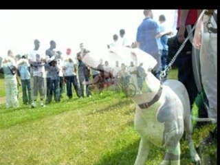 DERNIER CRIME SAD-HILL GR.G. D'OKTA