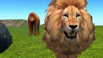 Fun Wild Animals Wrong Heads Finger Family Song  Lion Tiger Gorilla  Animal Attacks Finger Family