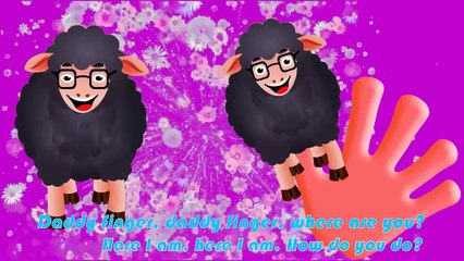 Jelly Bean, Ice Cream, Jelly, Cake Pop and Lollipop Finger Family Song