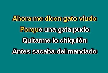 EL GATO VIUDO - CHAVA FLORES (KARAOKE)