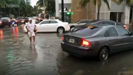 Une tempête tropicale nommée Emily a durement touché la Floride et sa ville mère, Miami.