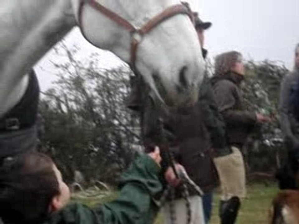 anthony l'homme qui mumure à l'oreil des chevaux