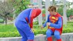 Superhero ion Spiderman Zombies kidnap Snow White Nerf guns Superman Nerf war