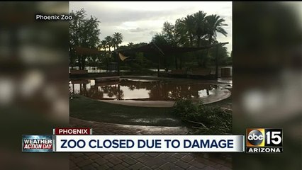 Phoenix zoo closed after storm damage