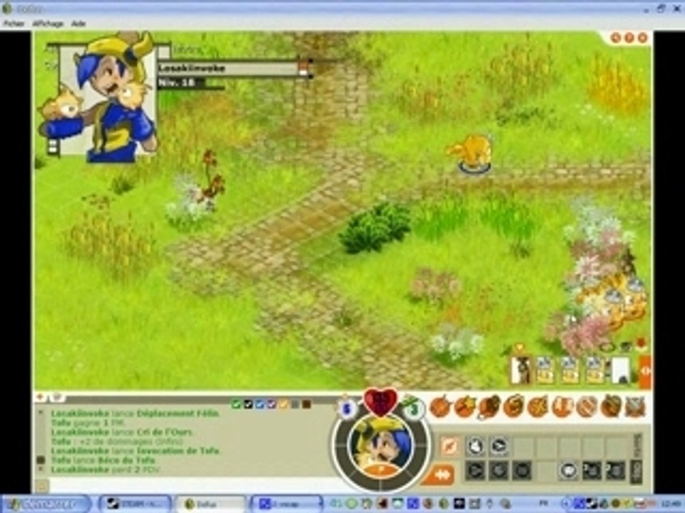 Dofus moi et mes tofus royale skins