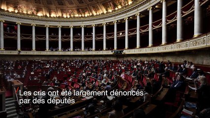 L'intervention d'une députée LREM perturbée par un cri de chèvre