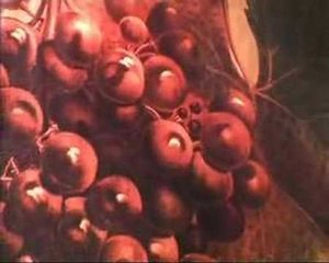 "Vigne, Vino, Territorio" Show - Amica9 informa