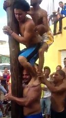 funny video, Panjat Pinang