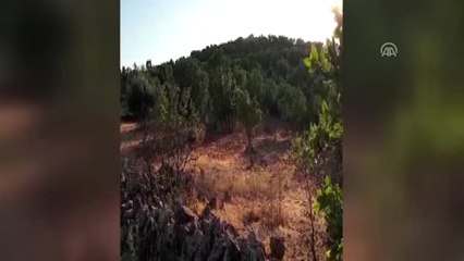 2 El Yapımı Patlayıcı Düzeneği İmha Edildi