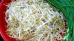 Asian Food How To Make Stir Fried Beansprouts With Pork, Tofu And Leek Flowers Youtube