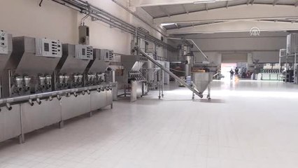 Akşehir'den G-8 Ülkelerine Aromatik Bitkisel Yağ İhraç Ediliyor - Konya