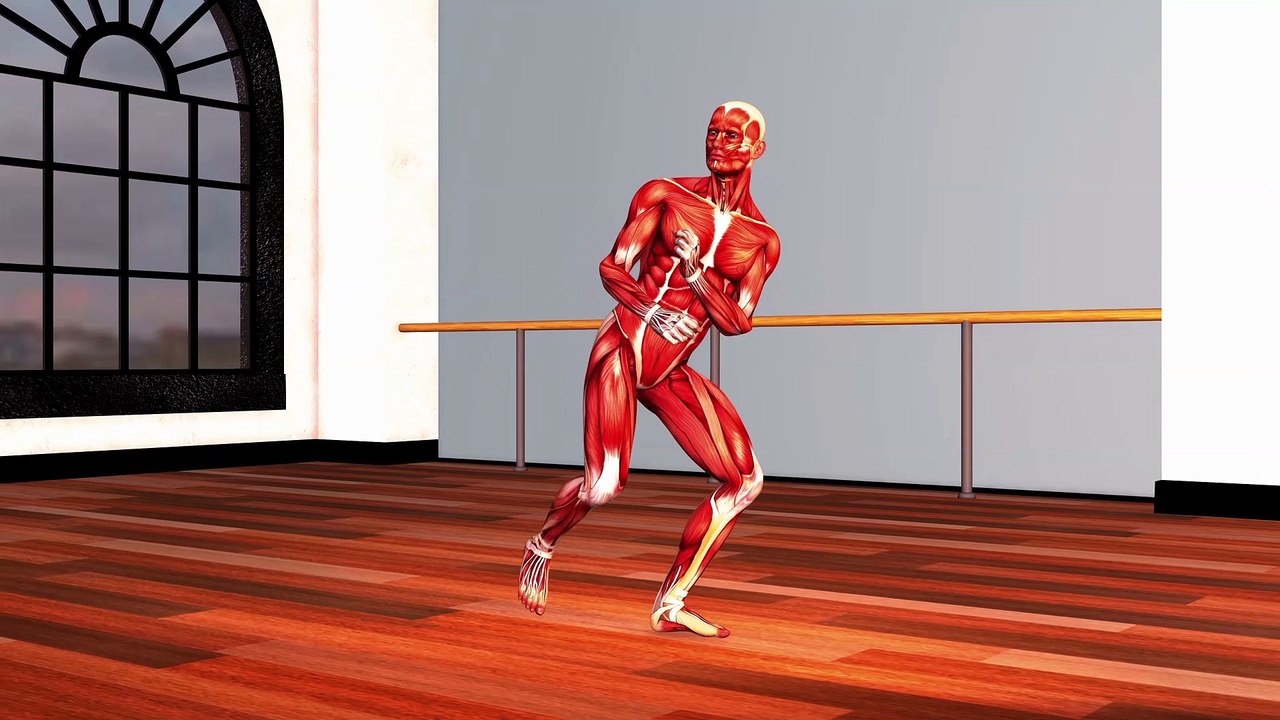 Demo Kampfsport Animation