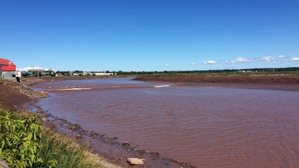 PVT CANADA - Moncton - Mascaret