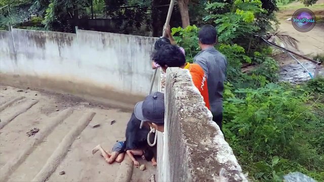 Man Mauled By Bear After Teasing It With Food (graphic)
