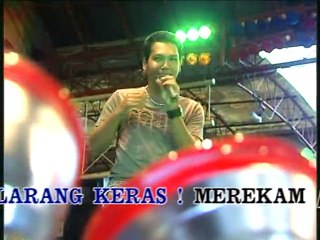 Raib(Bunga Desa) Brodin - NEW PALLAPA
