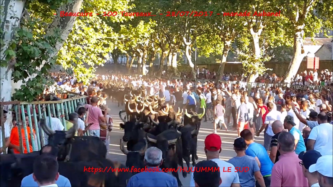 Beaucaire-100 taureaux...-28/07/2017-Aubanel