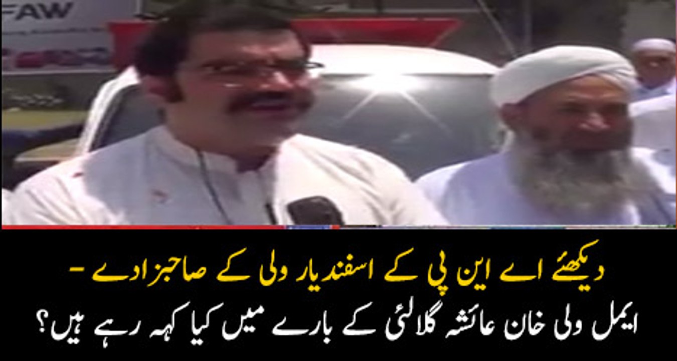 Hum Ayesha Gulalai Jaisi Aurton Se Raabta Karna Hi Nahi Chahte, Hum Izzat Daar Aurton Ko Aagay Laana Chahte Hain