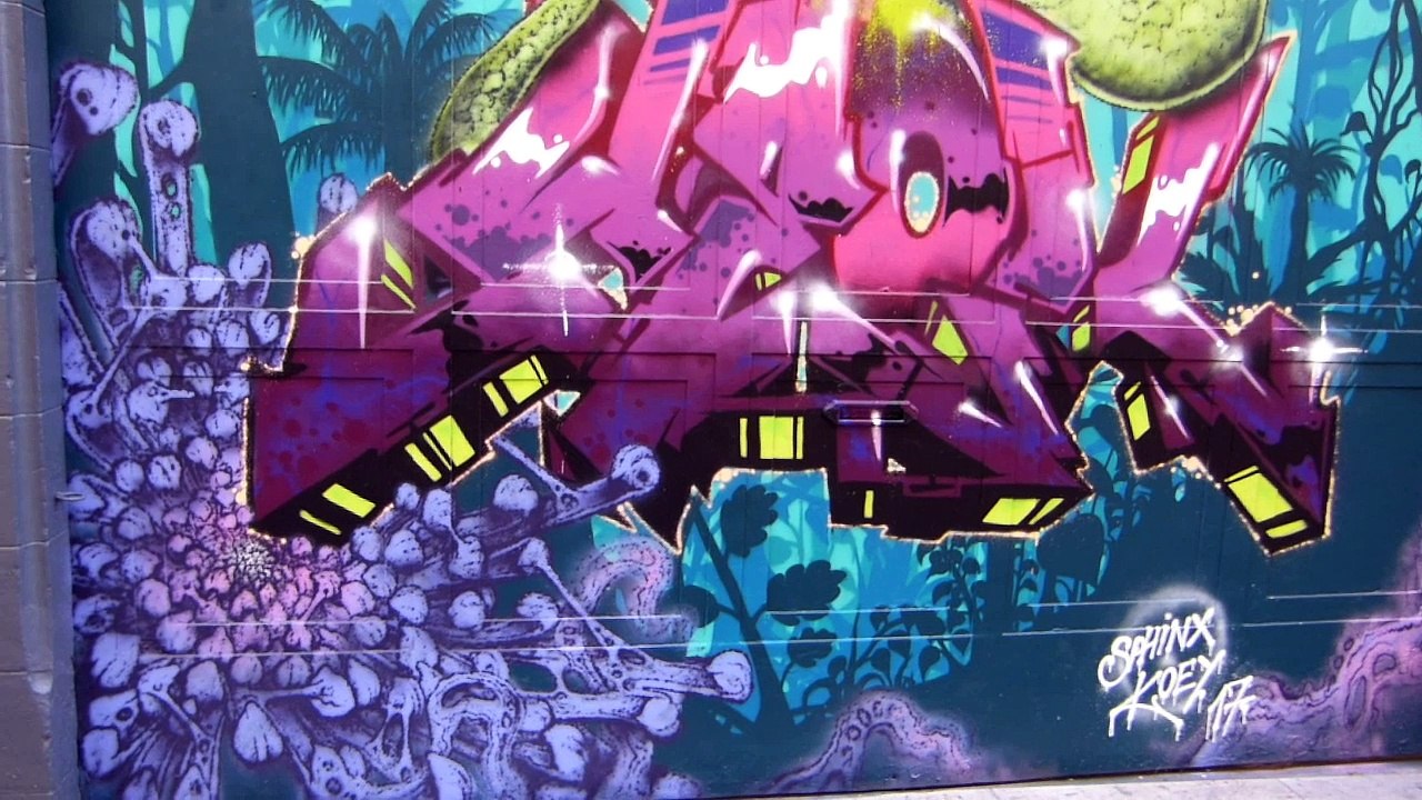 Balade street-art à travers les Pentes de la Croix-Rousse