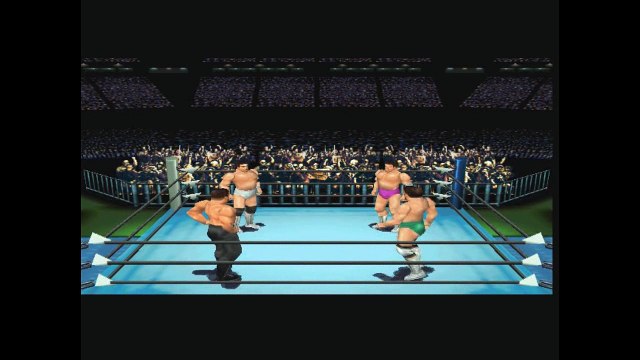 Virtual Pro Wrestling 2 Entrances: Created Wrestlers