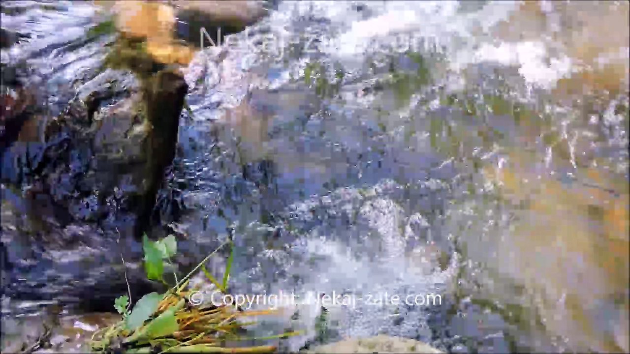 Voda ~ Water