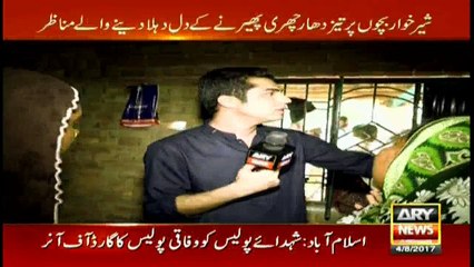 People believe faith-healer deceives pretending to be reading Quranic ayats
