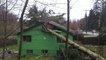 BRAVO les bûcherons... une maison détruite par un tronc d'arbre abattu de travers...