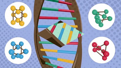 الحمض النووي