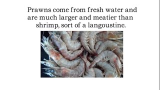 What are Prawns? | Prawns Nutrition Facts | Prawn Benefits