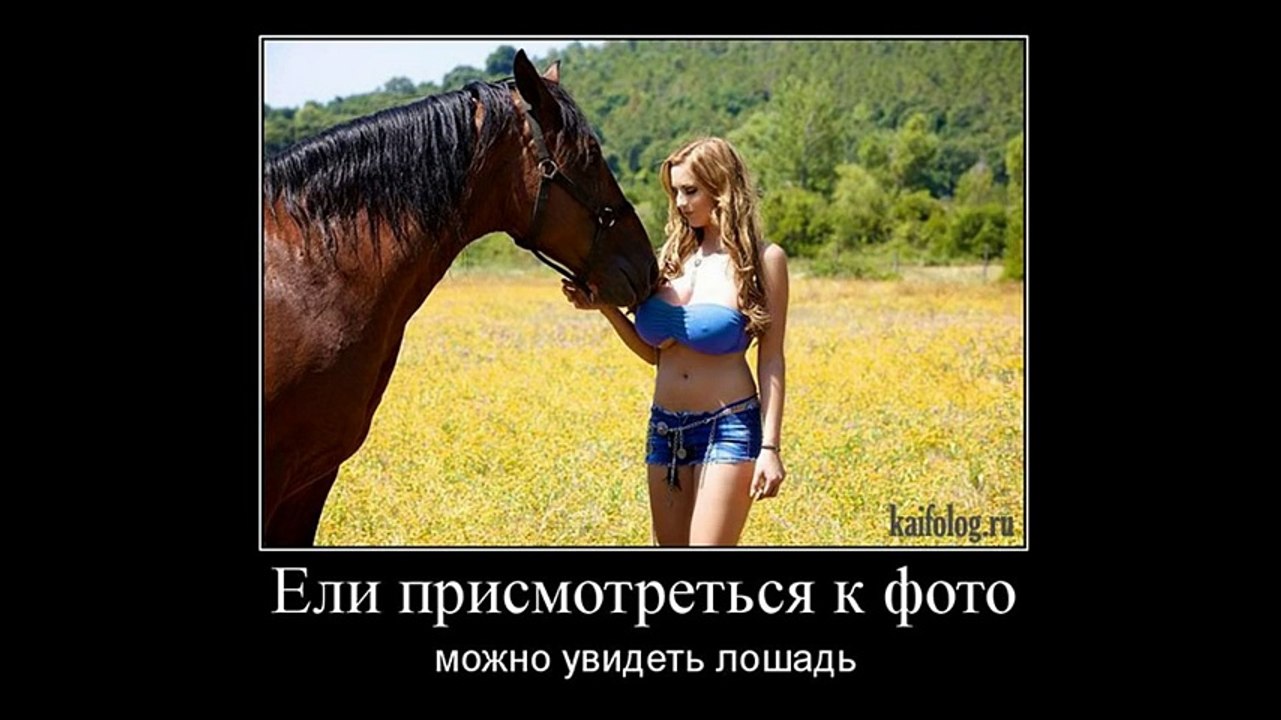 Новые прикольные и веселые демотиваторы за неделю