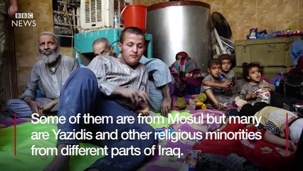 The human shields freed from IS - BBC News