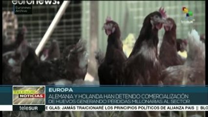 Alerta alimentaria europea por huevos contaminados con un pesticida