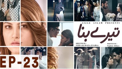 Tere Bina - Episode 23 | Har Pal Geo