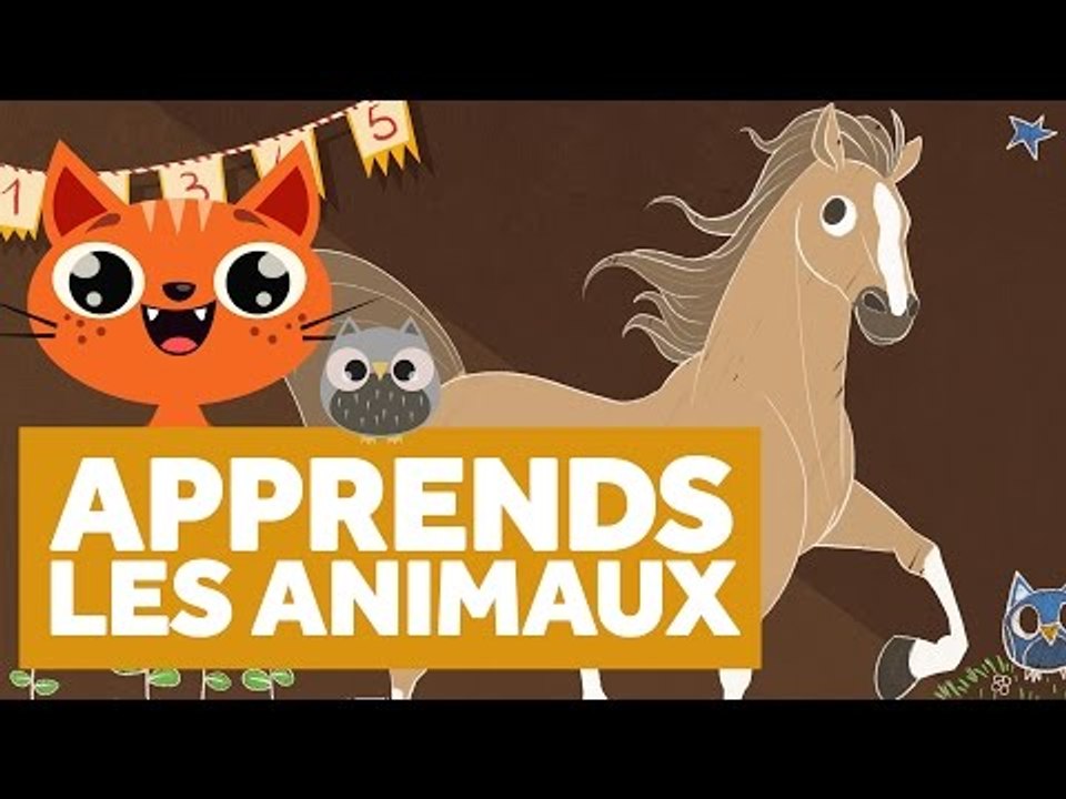 Apprendre Les Animaux - L'École des Zibous ! Vidéo Educative