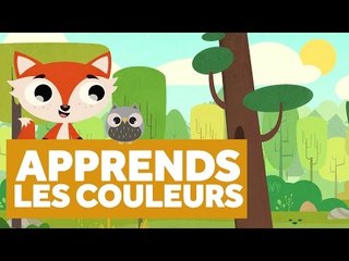 Apprendre Les Couleurs de la Forêt - L'École des Zibous ! Vidéo Educative