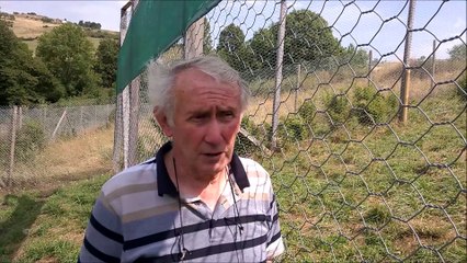 Tonga Saint-Martin la Plaine