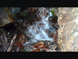 Bruit de l’eau qui coule : L’eau c’est la Vie – Calme Rivière Nature Haute Montagne Zen - Vlog