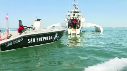 L'ONG Sea Shepherd reprend sa chasse aux filets "fantômes"