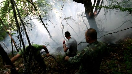 Albania: firefighters work to put out wildfires, 25 still active