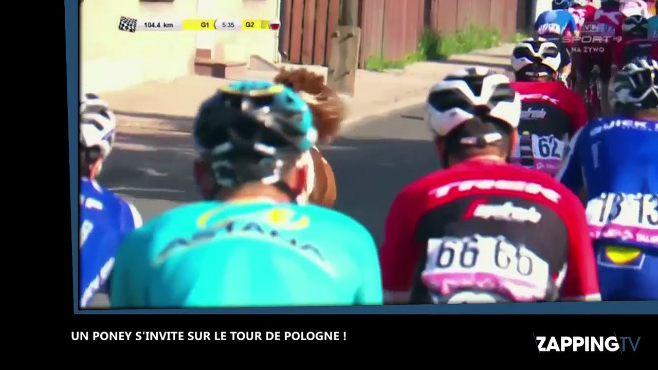 Pologne : Un poney s’incruste dans une course d...