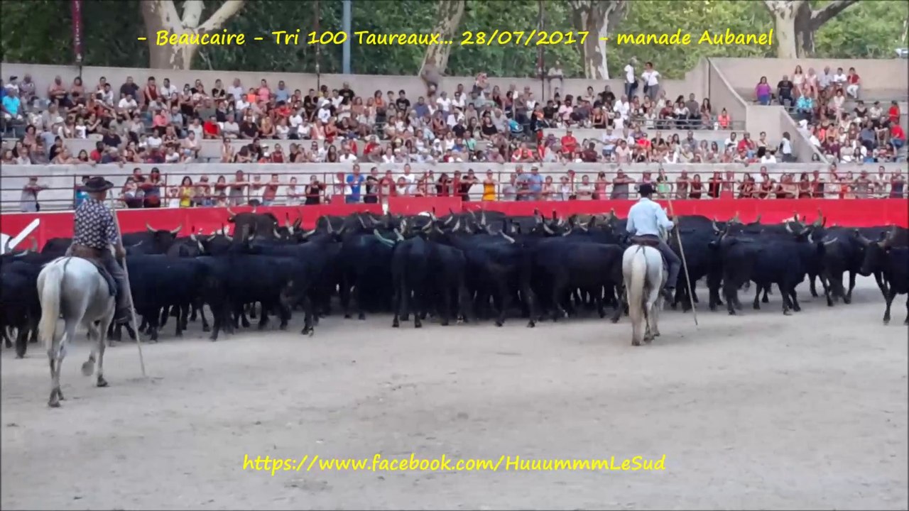 Beaucaire-Tri 100 taureaux...-28-07-2017-Aubanel