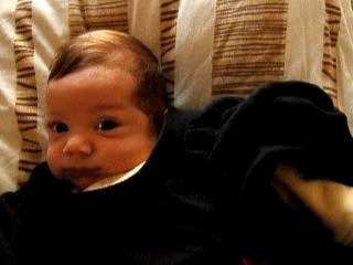 no one is innocent roxane