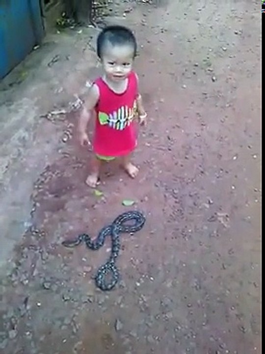 snake