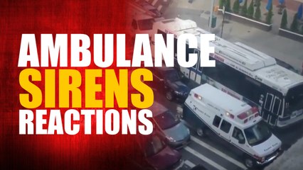 How different countries react to Ambulance Sirens international
