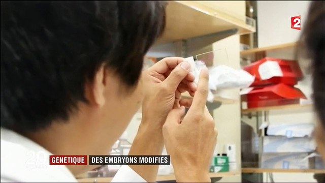 Génétique : des chercheurs ont réussi à modifier l'ADN d'embryons humains