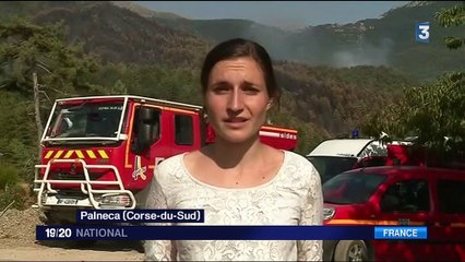 Incendie en Corse-du-Sud : la colère des habitants de Palneca